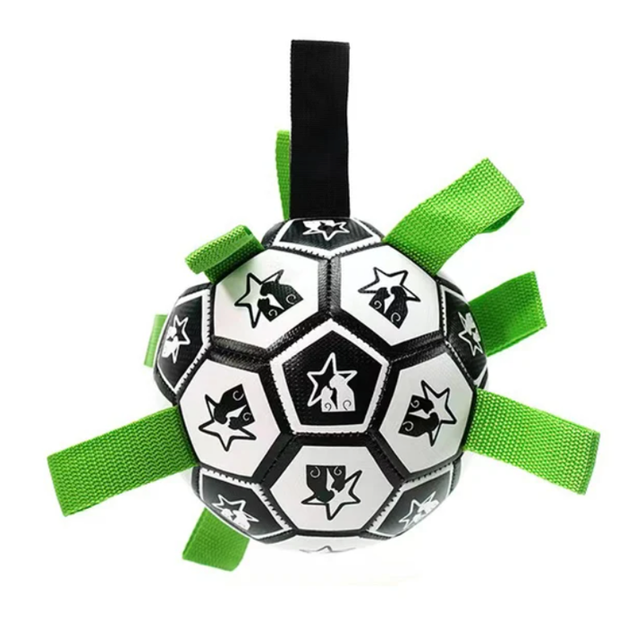 Interactive Soccer Brain Game for Dogs