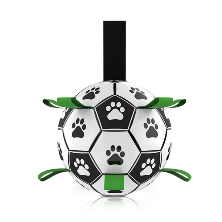 Interactive Soccer Brain Game for Dogs